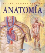 anatomia