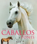 caballo-y-ponis-1