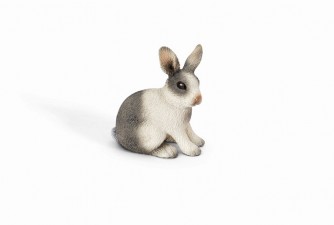 Conejo sentado