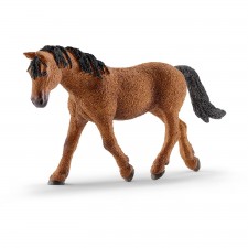 Yegua Bashkir Curly