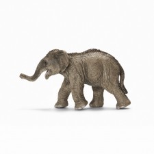Cría de elefante asiático