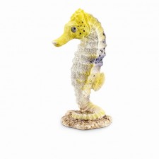 Caballito de mar
