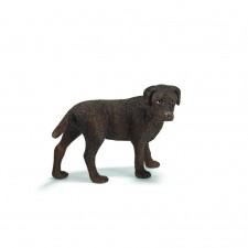 LABRADOR RETRIEVER Hembra